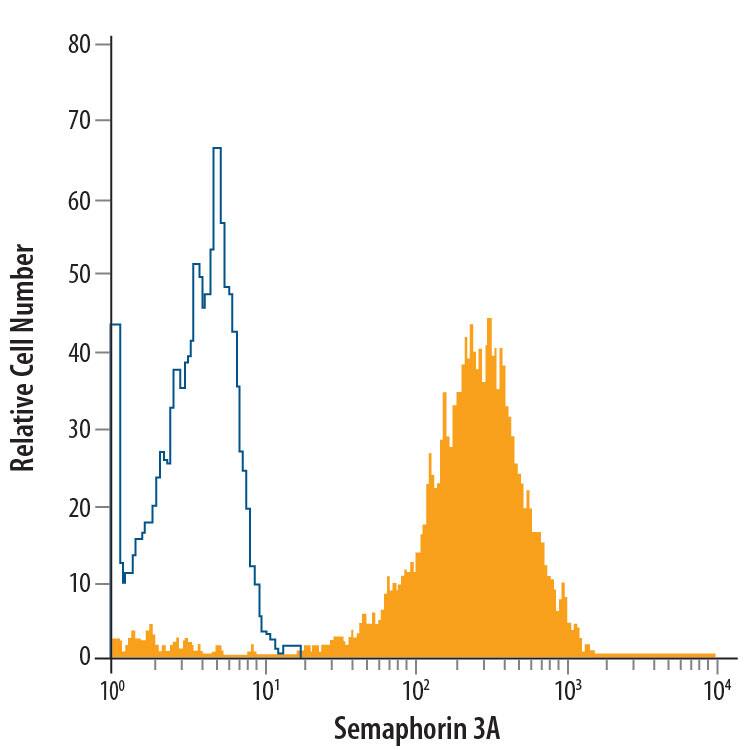 CD3+-gated human peripheral blood mononuclear cells (PBMCs) treated with PHA were stained with Mouse Anti-Human/Mouse Semaphorin 3A PE-conjugated Monoclonal Antibody (Catalog # IC1250P, filled histogram) or isotype control antibody (Catalog # IC0041P, open histogram). To facilitate intracellular staining, cells were fixed with Flow Cytometry Fixation Buffer (Catalog # FC004) and permeabilized with Flow Cytometry Permeabilization/Wash Buffer I (Catalog # FC005). View our protocol for Staining Intracellular Molecules.