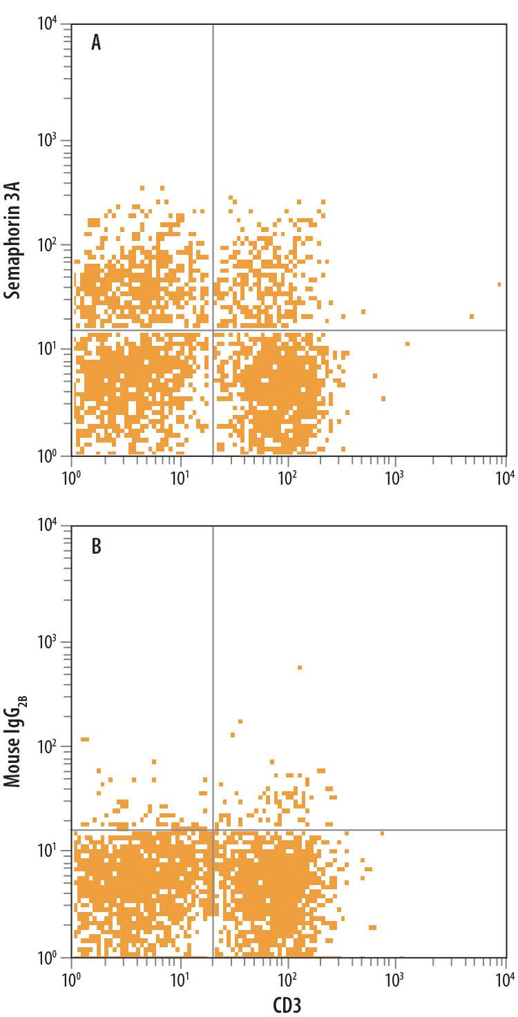 Mouse splenocytes treated with PHA were stained with Rat Anti-Mouse CD3 APC-conjugated Monoclonal Antibody (Catalog # FAB4841A) and either (A) Mouse Anti-Human/Mouse Semaphorin 3A PE-conjugated Monoclonal Antibody (Catalog # IC1250P) or (B) Mouse IgG2BPhycoerythrin Isotype Control (Catalog # IC0041P). To facilitate intracellular staining, cells were fixed with Flow Cytometry Fixation Buffer (Catalog # FC004) and permeabilized with Flow Cytometry Permeabilization/Wash Buffer I (Catalog # FC005). View our protocol for Staining Intracellular Molecules.