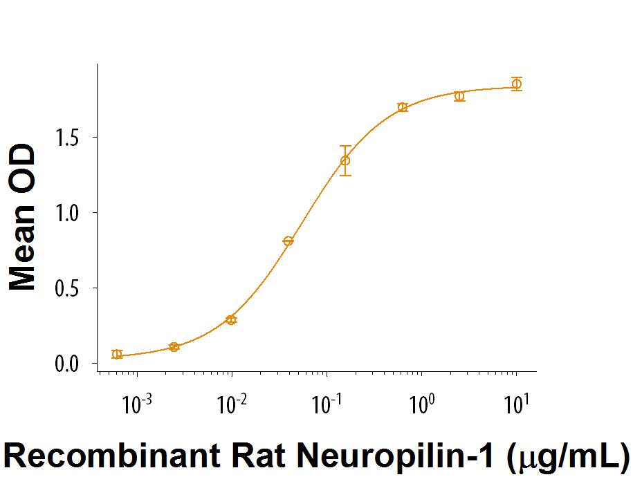 When Recombinant Human Semaphorin 3B Fc Chimera (Catalog # 9618-S3) is coated at 1 μg/mL, 100 μL/well, it binds to     Recombinant  Rat Neuropilin‑1 Fc Chimera (Catalog # 566‑N1)  with an ED50 of 25‑150 ng/mL.