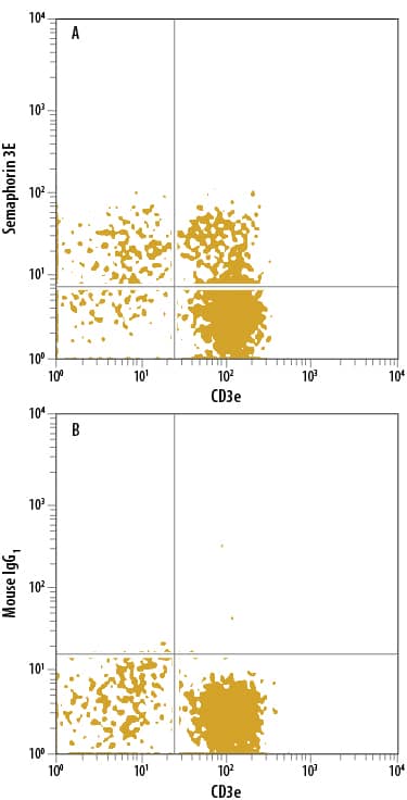 Human peripheral blood mononuclear cells (PBMCs) treated with PHA for were stained with Mouse Anti-Human CD3e APC-conjugated Monoclonal Antibody (Catalog # FAB100A) and either (A) Mouse Anti-Human Semaphorin 3E Alexa Fluor® 488-conjugated Monoclonal Antibody (Catalog # IC32391G) or (B) Mouse IgG1Alexa Fluor 488 Isotype Control (Catalog # IC002G). To facilitate intracellular staining, cells were fixed with Flow Cytometry Fixation Buffer (Catalog # FC004) and permeabilized with Flow Cytometry Permeabilization/Wash Buffer I (Catalog # FC005). View our protocol for Staining Intracellular Molecules.
