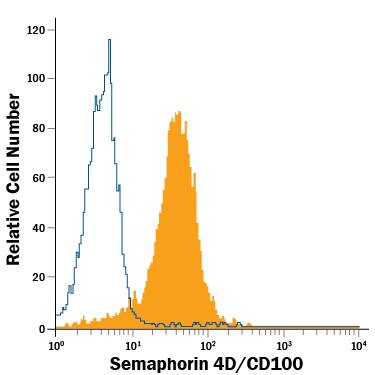 Jurkat human acute T cell leukemia cell line was stained with Mouse Anti-Human Semaphorin 4D/CD100 Alexa Fluor® 488-conjugated Monoclonal Antibody (Catalog # FAB74701G, filled histogram) or isotype control antibody (Catalog # IC002G, open histogram). View our protocol for Staining Membrane-associated Proteins.