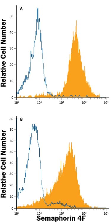 Mouse cortical stem cells (A) and bEnd.3 mouse endothelioma cell line (B) were stained with Rat Anti-Mouse Semaphorin 4F APC-conjugated Monoclonal Antibody (Catalog # FAB7200A, filled histogram) or isotype control antibody (Catalog # IC006A, open histogram). View our protocol for Staining Membrane-associated Proteins.