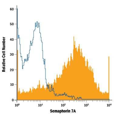 Human peripheral blood mononuclear cells (PBMCs) treated with PHA were stained with Mouse Anti-Human Semaphorin 7A APC-conjugated Monoclonal Antibody (Catalog # FAB20681A, filled histogram) or isotype control antibody (Catalog # IC0041A, open histogram). View our protocol for Staining Membrane-associated Proteins.
