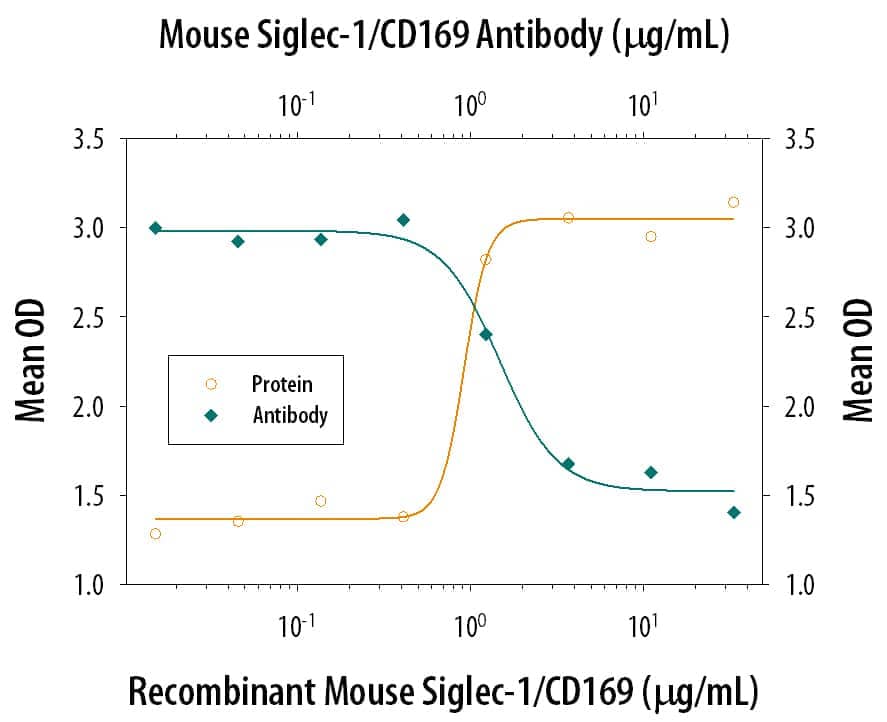 Cell Adhesion Mediated by Siglec‑1/CD169 and Neutralization by Mouse Siglec‑1/CD169 Antibody. Recombinant Mouse Siglec‑1/CD169 Fc Chimera (Catalog # 5610-SL), immobilized onto a microplate, supports the adhesion of human red blood cells in a dose-dependent manner (orange line). Adhesion elicited by Recombinant Mouse Siglec‑1/CD169 Fc Chimera (5 µg/mL) is neutralized (green line) by increasing concentrations of Sheep Anti-Mouse Siglec‑1/CD169 Antigen Affinity-purified Polyclonal Antibody (Catalog # AF5610). The ND50 is typically 1-5 µg/mL.