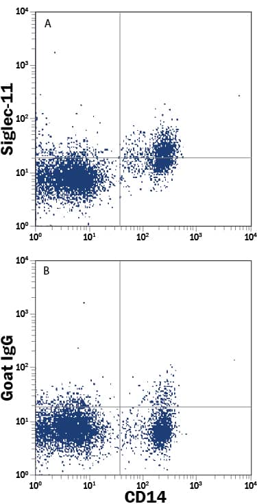 Human peripheral blood mononuclear cell monocytes and granulocytes were stained with Mouse Anti-Human CD14 APC-conjugated Monoclonal Antibody (Catalog # FAB3832A) and either (A) Goat Anti-Human Siglec-11 PE-conjugated Antigen Affinity-purified Polyclonal Antibody (Catalog # FAB3258P) or (B) Normal Goat IgG Phycoerythrin Control (Catalog # IC108P). View our protocol for Staining Membrane-associated Proteins.