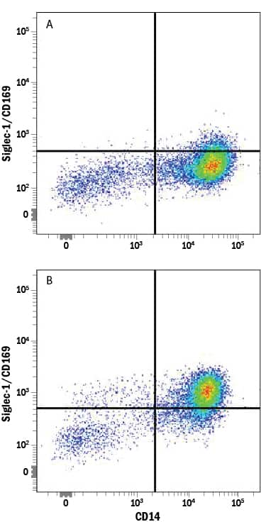 Human peripheral blood mononuclear cells (PBMCs), (A) resting, or (B) treated with 5 ng/mL Recombinant Human IFN-a (Catalog # 11100-1) overnight, were stained with Mouse Anti-Human Siglec-1/CD169 Alexa Fluor® 488-conjugated Monoclonal Antibody (Catalog # FAB5197G) and Mouse Anti-Human CD14 APC-conjugated Monoclonal Antibody (Catalog # FAB3832A). Quadrant markers were set based on control antibody staining (Catalog # IC002G). View our protocol for Staining Membrane-associated Proteins.