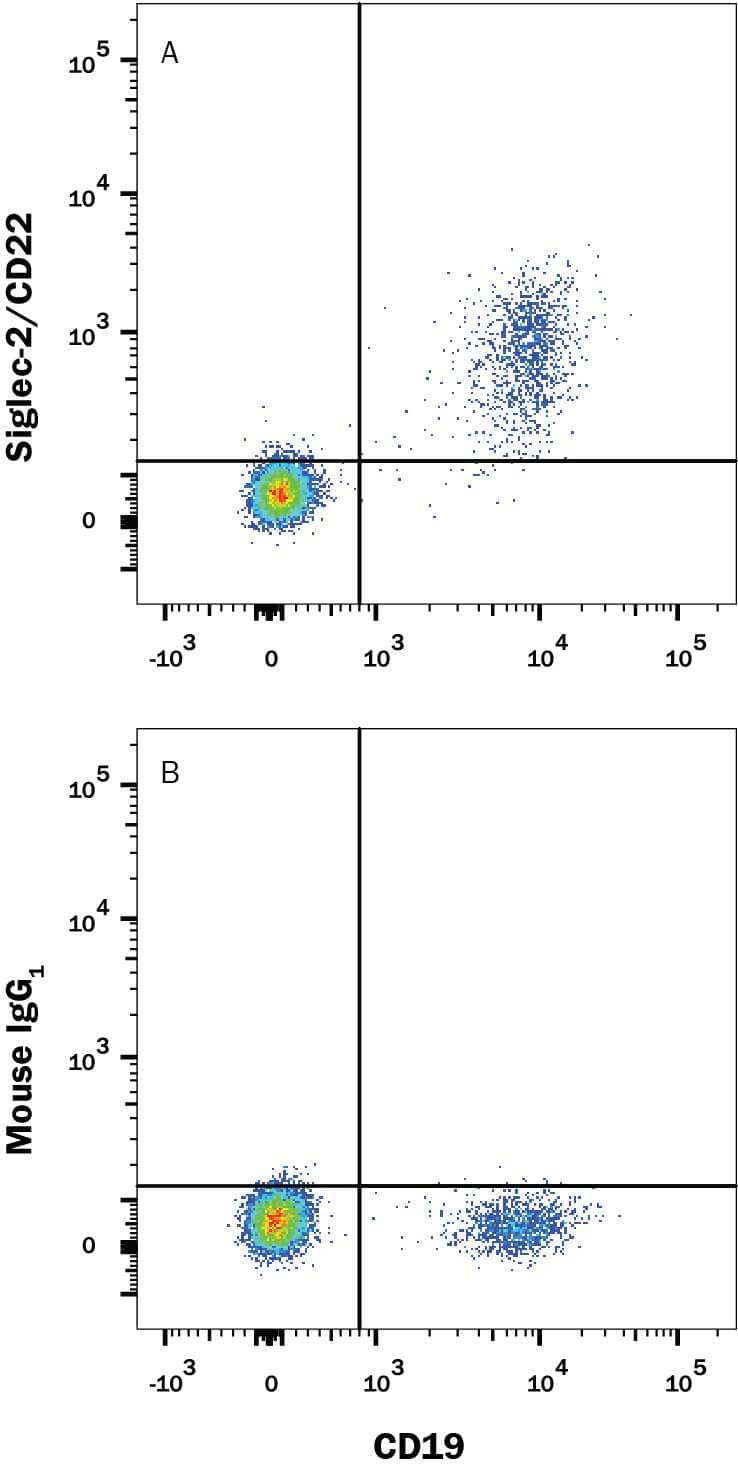 Human peripheral blood mononuclear cells (PBMCs) were stained with Mouse Anti-Human CD19 APC-conjugated Monoclonal Antibody (Catalog # FAB4867A) and either (A) Mouse Anti-Human Siglec-2/CD22 Alexa Fluor® 488-conjugated Monoclonal Antibody (Catalog # FAB1968G) or (B) Mouse IgG1 Alexa Fluor® 488 Isotype Control (Catalog # IC002G). View our protocol for Staining Membrane-associated Proteins.