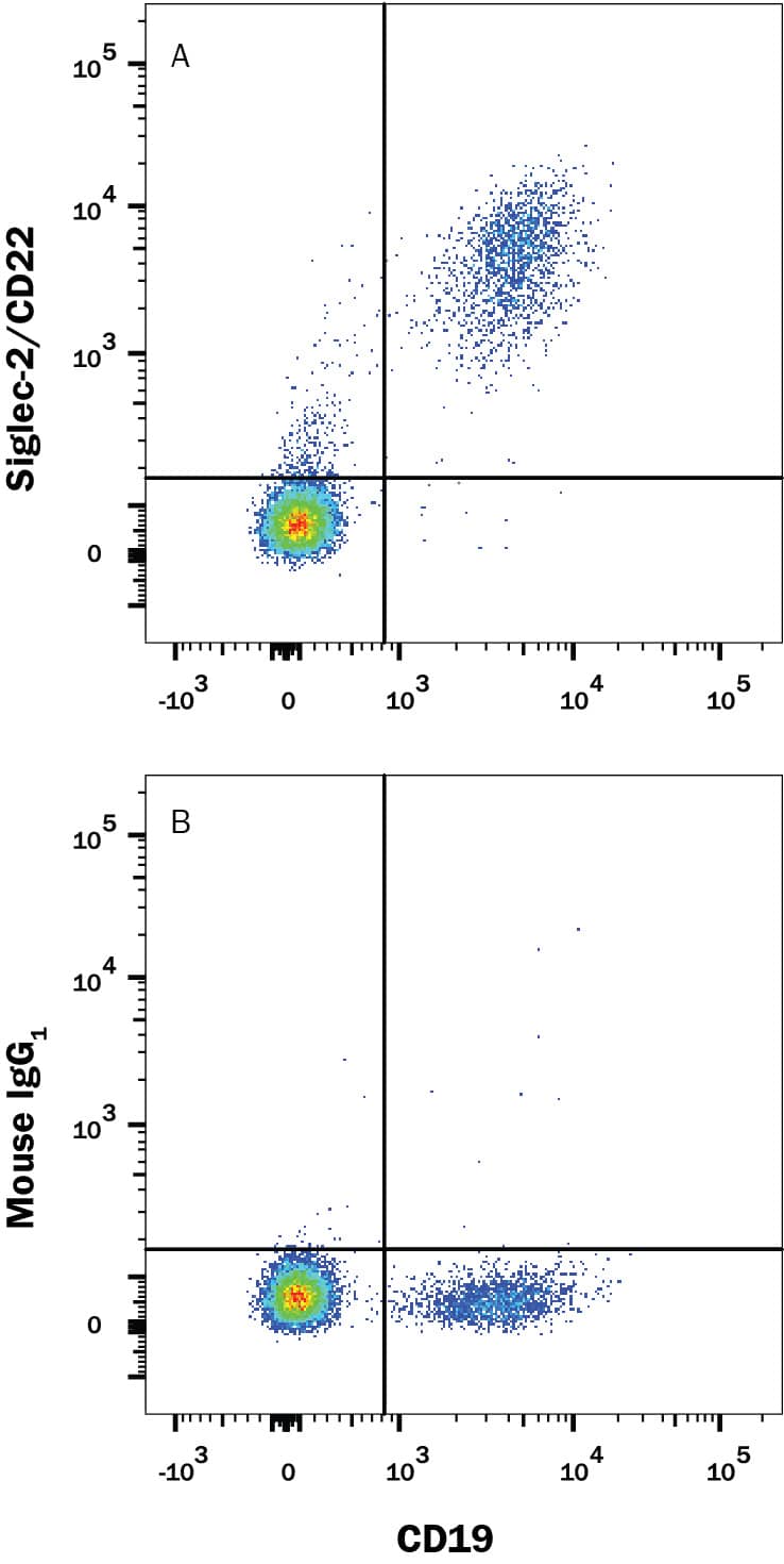     Human peripheral  blood mononuclear cells (PBMCs) were stained with Mouse Anti-Human CD19  APC‑conjugated Monoclonal Antibody (Catalog # FAB4867A)  and either (A) Mouse Anti-Human Siglec‑2/CD22 Monoclonal Antibody  (Catalog # MAB1968) or (B) Mouse IgG1 Isotype Control  (Catalog # MAB002)  followed by Phycoerythrin-conjugated Anti-Mouse IgG Secondary Antibody  (Catalog # F0102B).  View our protocol for Staining  Membrane-associated Proteins.  