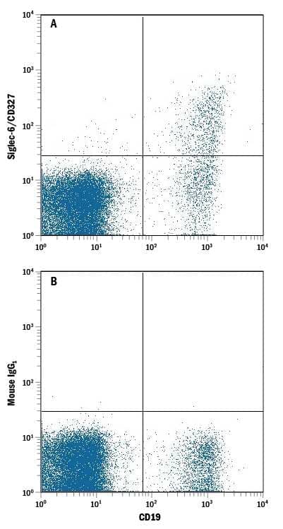 Human peripheral blood mononuclear cell (PBMC) lymphocytes were stained with Mouse Anti-Human CD19 PE-conjugated Monoclonal Antibody (Catalog # FAB4867P) and either (A) Mouse Anti-Human Siglec-6/CD327 APC-conjugated Monoclonal Antibody (Catalog # FAB2859A) or (B) Mouse Allophycocyanin Isotype Control. View our protocol for Staining Membrane-associated Proteins.