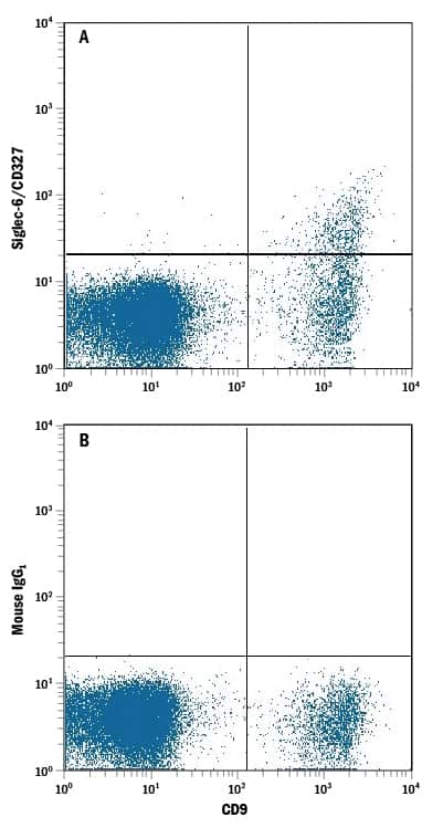 Human peripheral blood mononuclear cell (PBMC) lymphocytes were stained with Mouse Anti-Human CD19 APC-conjugated Monoclonal Antibody (Catalog # FAB4867A) and either (A) Mouse Anti-Human Siglec-6/CD327 Alexa Fluor® 488-conjugated Monoclonal Antibody (Catalog # FAB2859G) or (B) Mouse Alexa Fluor 488 Isotype Control. View our protocol for Staining Membrane-associated Proteins.