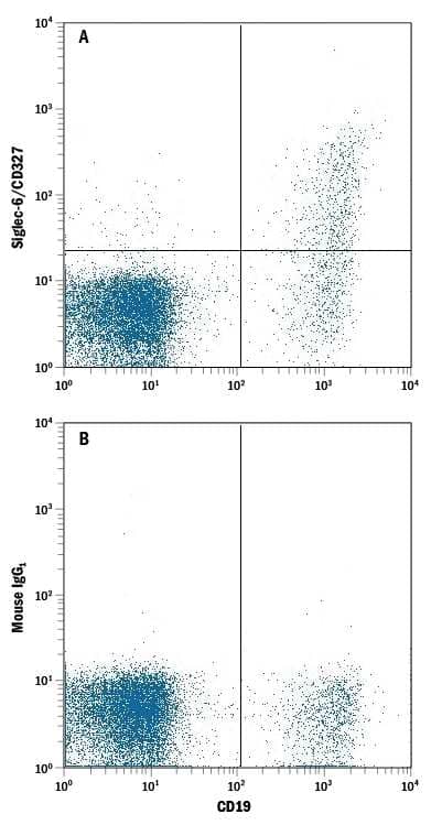 Human peripheral blood mononuclear cell (PBMC) lymphocytes were stained with Mouse Anti-Human CD19 APC-conjugated Monoclonal Antibody (Catalog # FAB4867A) and either (A) Mouse Anti-Human Siglec-6/CD327 PE-conjugated Monoclonal Antibody (Catalog # FAB2859P) or (B) Mouse Phycoerythrin Isotype Control. View our protocol for Staining Membrane-associated Proteins.