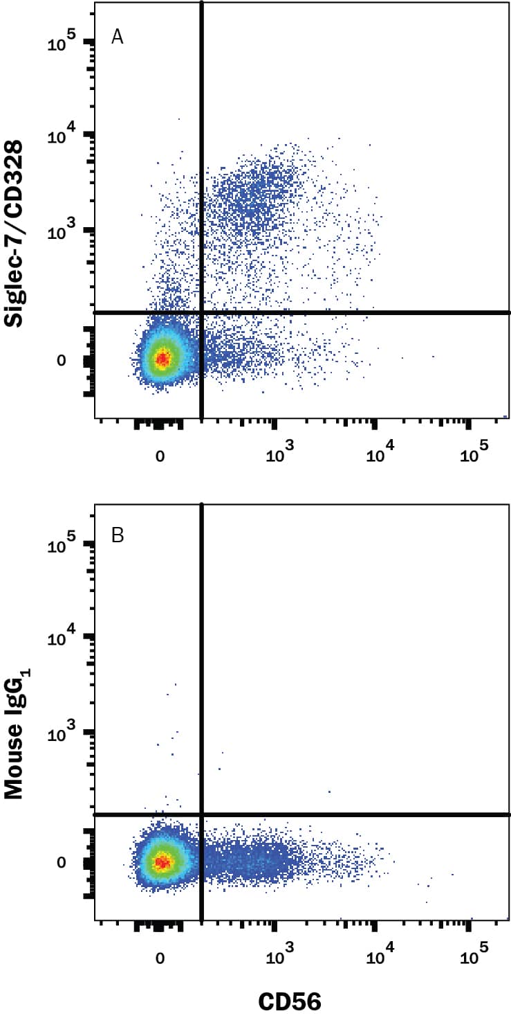 Human peripheral blood mononuclear cells (PBMCs) were stained with Mouse Anti-Human NCAM-1/CD56 PE-conjugated Monoclonal Antibody (Catalog # FAB2408P) and either (A) Mouse Anti-Human Siglec-7/CD328 APC-conjugated Monoclonal Antibody (Catalog # FAB11381A) or (B) Mouse IgG1Allophycocyanin Isotype Control (Catalog # IC002A). View our protocol for Staining Membrane-associated Proteins.