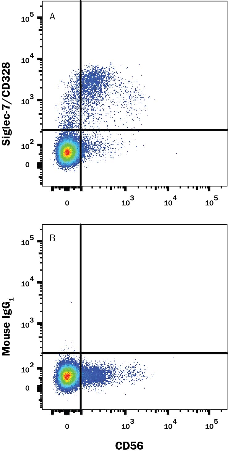 Human peripheral blood mononuclear cells (PBMCs) were stained with Mouse Anti-Human NCAM-1/CD56 APC-conjugated Monoclonal Antibody (Catalog # FAB2408A) and either (A) Mouse Anti-Human Siglec-7/CD328 Alexa Fluor® 488-conjugated Monoclonal Antibody (Catalog # FAB11381G) or (B) Mouse IgG1Alexa Fluor 488 Isotype Control (Catalog # IC002G). View our protocol for Staining Membrane-associated Proteins.