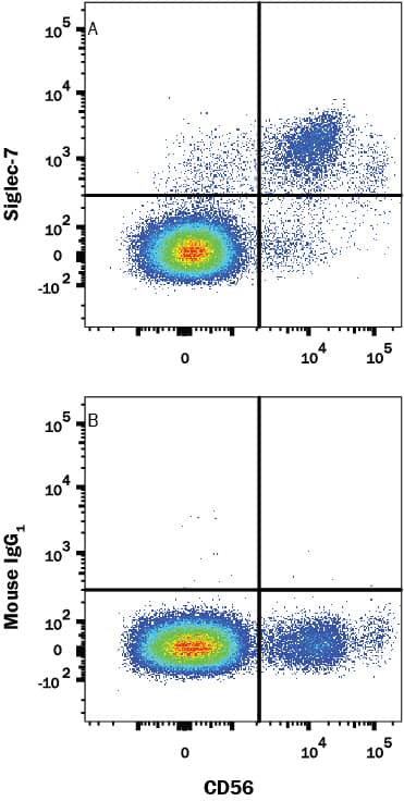 Human peripheral blood mononuclear cells (PBMCs) were stained with Mouse Anti-Human NCAM-1/CD56 PE-conjugated Monoclonal Antibody (Catalog # FAB24086P) and either (A) Mouse Anti-Human Siglec-7/CD328 Alexa Fluor® 647-conjugated Monoclonal Antibody (Catalog # FAB11381R) or (B) Mouse IgG1 Alexa Fluor 647 Isotype Control (Catalog # IC002R). View our protocol for Staining Membrane-associated Proteins.