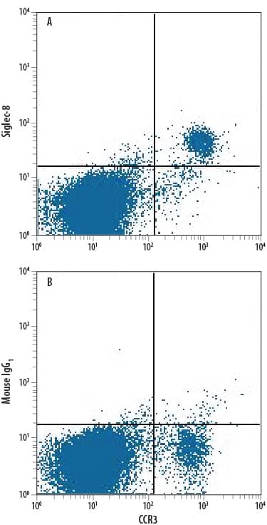 Human peripheral blood granulocytes were stained with Rat Anti-Human CCR3 PE-conjugated Monoclonal Antibody (Catalog # FAB155P) and either (A) Mouse Anti-Human Siglec-8 Alexa Fluor® 700-conjugated Monoclonal Antibody (Catalog # FAB7975N) or (B) Mouse IgG1Alexa Fluor 700 Isotype Control (Catalog # IC002N). View our protocol for Staining Membrane-associated Proteins.