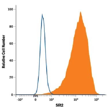 CHO Chinese hamster ovary cell line transfected with human Slit2 was stained with Rat Anti-Mouse Slit2 Monoclonal Antibody (Catalog # MAB5444, filled histogram) or isotype control antibody (Catalog # MAB0061, open histogram), followed by Allophycocyanin-conjugated Anti-Rat IgG Secondary Antibody (Catalog # F0113).