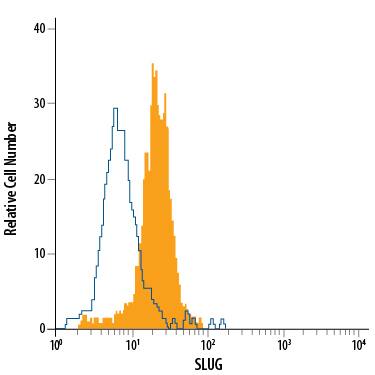 HeLa human cervical epithelial carcinoma cell line was stained with Mouse Anti-Human Slug Alexa Fluor® 488-conjugated Monoclonal Antibody (Catalog # IC7408G, filled histogram) or isotype control antibody (IC003G, open histogram). To facilitate intracellular staining, cells were fixed with Flow Cytometry Fixation Buffer (FC004) and permeabilized with Flow Cytometry Permeabilization/Wash Buffer I (FC005). View our protocol for Staining Intracellular Molecules.