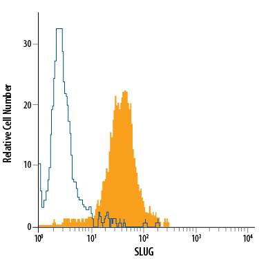 HeLa human cervical epithelial carcinoma cell line was stained with Mouse Anti-Human Slug PE-conjugated Monoclonal Antibody (Catalog # IC7408P, filled histogram) or isotype control antibody (Catalog # IC003P, open histogram). To facilitate intracellular staining, cells were fixed with Flow Cytometry Fixation Buffer (Catalog # FC004) and permeabilized with Flow Cytometry Permeabilization/Wash Buffer I (Catalog # FC005). View our protocol for Staining Intracellular Molecules.