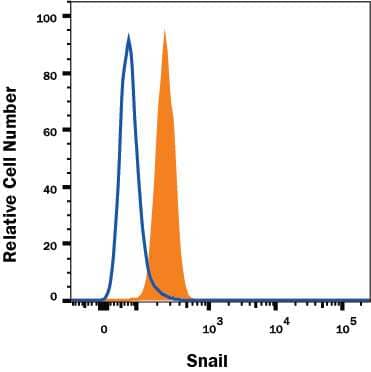 A549 human lung carcinoma cell line was stained with Goat Anti-Human Snail Alexa Fluor® 488-conjugated Antigen Affinity-purified Polyclonal Antibody (Catalog # IC3639G, filled histogram) or isotype control antibody (Catalog # IC108G, open histogram). To facilitate intracellular staining, cells were fixed and permeabilized with FlowX FoxP3 Fixation & Permeabilization Buffer Kit (Catalog # FC012). View our protocol for Staining Intracellular Molecules.