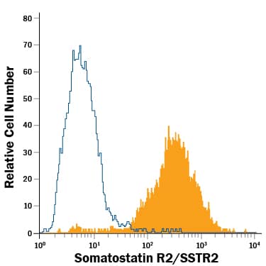 HEK293 human embryonic kidney cell line transfected with Somatostatin R2/SSTR2 and eGFP was stained with Mouse Anti-Human Somatostatin R2/SSTR2 PE-conjugated Monoclonal Antibody (Catalog # FAB4224P, filled histogram) or isotype control antibody (Catalog # IC003P, open histogram). View our protocol for Staining Membrane-associated Proteins.