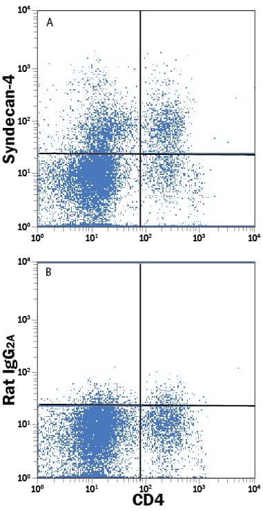 Activated lymphocytes in human peripheral blood mononuclear cells were stained with Mouse Anti-Human CD4 PE-conjugated Monoclonal Antibody (Catalog # FAB3791P) and either (A) Rat Anti-Human Syndecan-4 APC-conjugated Monoclonal Antibody (Catalog # FAB29181A) or (B) Rat IgG2AAllophycocyanin Isotype Control (IC006A). View our protocol for Staining Membrane-associated Proteins.