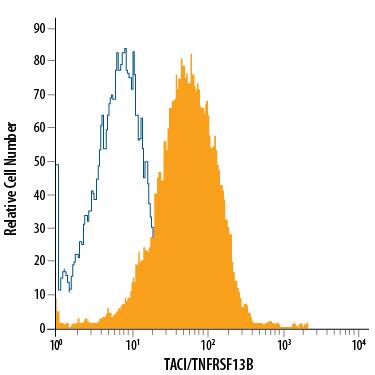 Raji human Burkitt's lymphoma cell line was stained with Mouse Anti-Human TACI/TNFRSF13B APC-conjugated Monoclonal Antibody (Catalog # FAB1741A, filled histogram) or isotype control antibody (Catalog # IC002A, open histogram). View our protocol for Staining Membrane-associated Proteins.