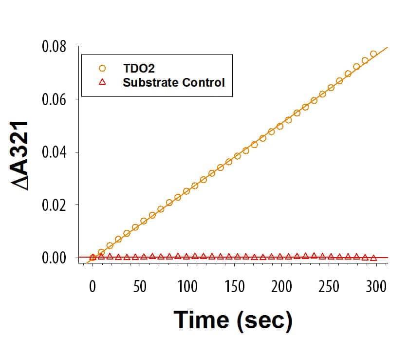 Recombinant Mouse TDO2 (Catalog # 10001-TD) is measured by its ability to oxidize L-tryptophan to N-formyl-kynurenine.