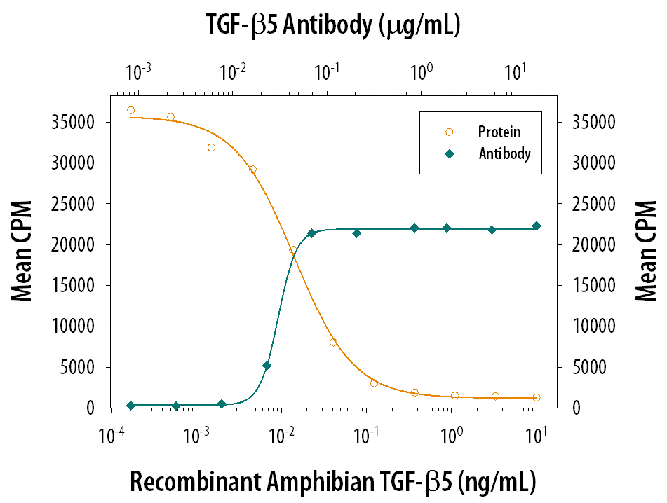 Recombinant Amphibian TGF‑ beta 5 (Catalog # 245-B5) inhibits Recombinant Mouse IL‑4 (Catalog # 404-ML) induced proliferation in the HT‑2 mouse T cell line in a dose-dependent manner (orange line). Inhibition of Recombinant Mouse IL‑4 (7.5 ng/mL) activity elicited by Recombinant Amphibian TGF‑ beta 5 (0.1 ng/mL) is neutral­ized (green line) by increasing concentrations of Goat Anti-TGF‑ beta 5 Polyclonal Antibody (Catalog # AB-245-NA). The ND50 is typically 0.03‑0.08 µg/mL.
