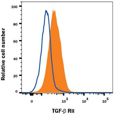 Human peripheral blood lymphocytes were stained with Goat Anti-Human TGF-beta  RII Fluorescein-conjugated Antigen Affinity-purified Polyclonal Antibody (Catalog # FAB2411F, filled histogram) or isotype control antibody (Catalog # IC108F, open histogram). View our protocol for Staining Membrane-associated Proteins.