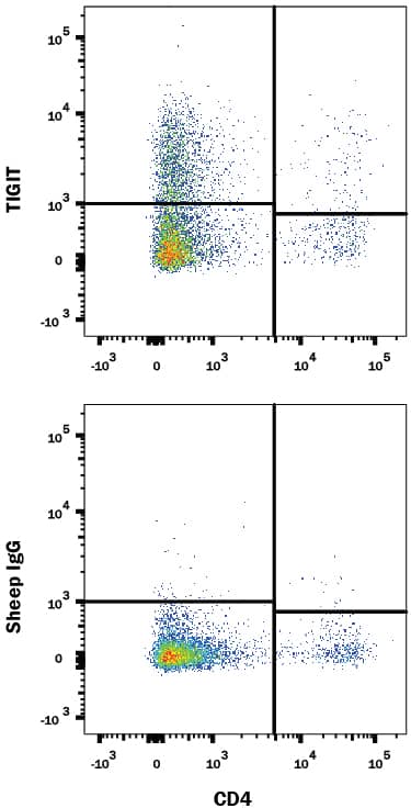 Mouse splenocytes treated with 50 ng/mL PMA and 200 ng/mL Calcium Ionomycin overnight were stained with Rat Anti-Mouse CD4 PE-conjugated Monoclonal Antibody (Catalog # FAB554P) and either (A) Sheep Anti-Mouse TIGIT APC-conjugated Antigen Affinity-purified Polyclonal Antibody (Catalog # FAB7267A) or (B) Normal Sheep IgG Allophycocyanin Control (Catalog # IC016A). View our protocol for Staining Membrane-associated Proteins.