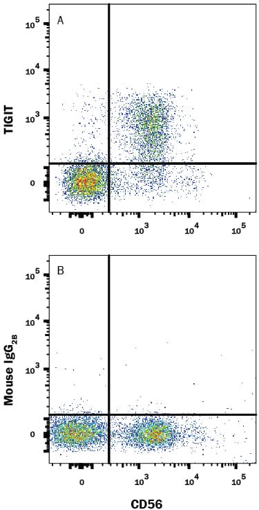 Human peripheral blood mononuclear cells (PBMCs) gated on CD3-cells were stained with Mouse Anti-Human NCAM-1/CD56 PE-conjugated Monoclonal Antibody (Catalog # FAB2408P) and either (A) Mouse Anti-Human TIGIT APC-conjugated Monoclonal Antibody (Catalog # FAB7898A) or (B) Mouse IgG2BAllophycocyanin Isotype Control (Catalog # IC0041A). View our protocol for Staining Membrane-associated Proteins.