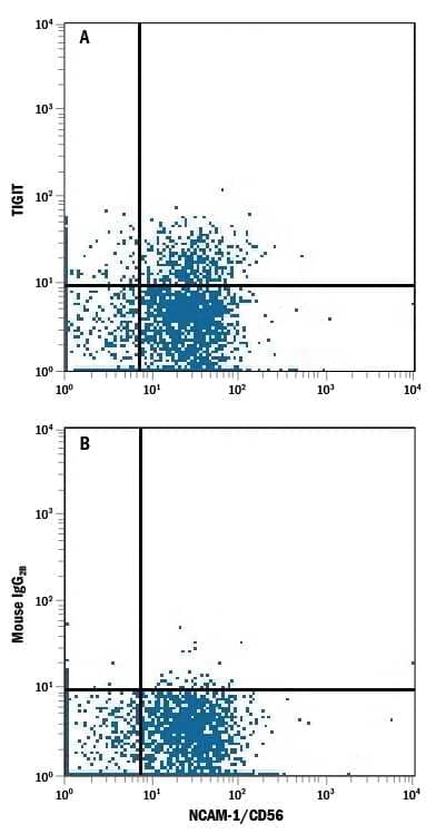 Human peripheral blood mononuclear cell (PBMC) lymphocytes were stained with Mouse Anti-Human NCAM-1/CD56 PE-conjugated Monoclonal Antibody (Catalog # FAB2408P) and either (A) Mouse Anti-Human TIGIT Alexa Fluor® 700-conjugated Monoclonal Antibody (Catalog # FAB7898N) or (B) Mouse IgG2BAlexa Fluor 700 Isotype Control (Catalog # IC0041N). View our protocol for Staining Membrane-associated Proteins.