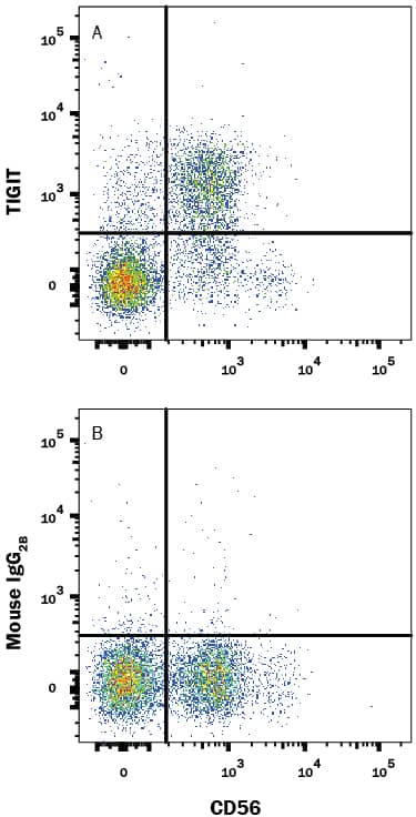Human peripheral blood mononuclear cells (PBMCs) gated on CD3-cells were stained with Mouse Anti-Human NCAM-1/CD56 APC-conjugated Monoclonal Antibody (Catalog # FAB2408A) and either (A) Mouse Anti-Human TIGIT PE-conjugated Monoclonal Antibody (Catalog # FAB7898P) or (B) Mouse IgG2BPhycoerythrin Isotype Control (Catalog # IC0041P). View our protocol for Staining Membrane-associated Proteins.