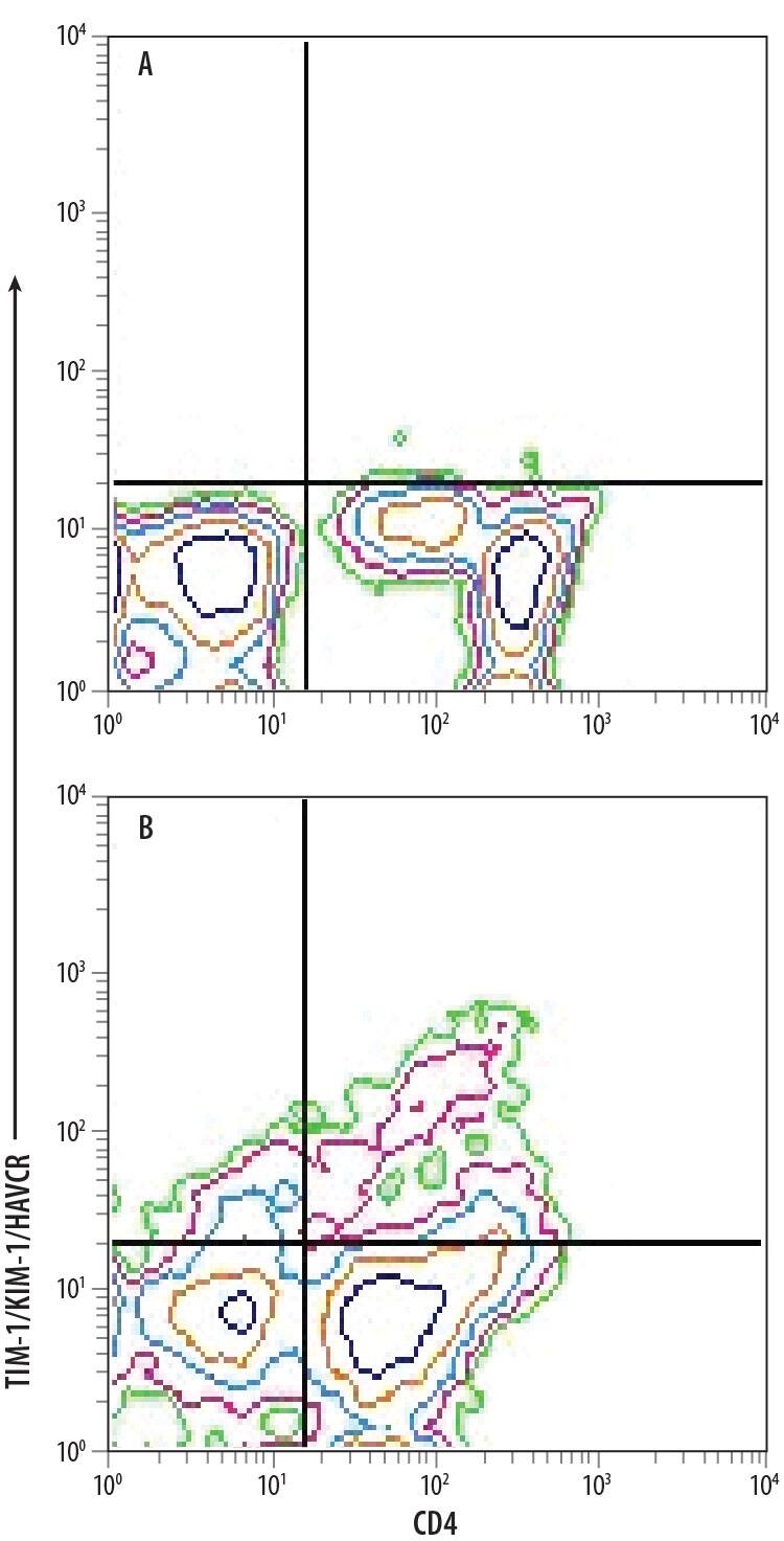 (A) Unstimulated and (B) Th2-stimulated human peripheral blood mononuclear cells (PBMCs) were stained with Mouse Anti-Human TIM-1/KIM-1/HAVCR Alexa Fluor® 488-conjugated Monoclonal Antibody (Catalog # FAB1750G) and Mouse Anti-Human CD4 APC-conjugated Monoclonal Antibody (Catalog # FAB3791A). Quadrant markers were set based on control antibody staining (Catalog # IC0041G). View our protocol for Staining Membrane-associated Proteins.