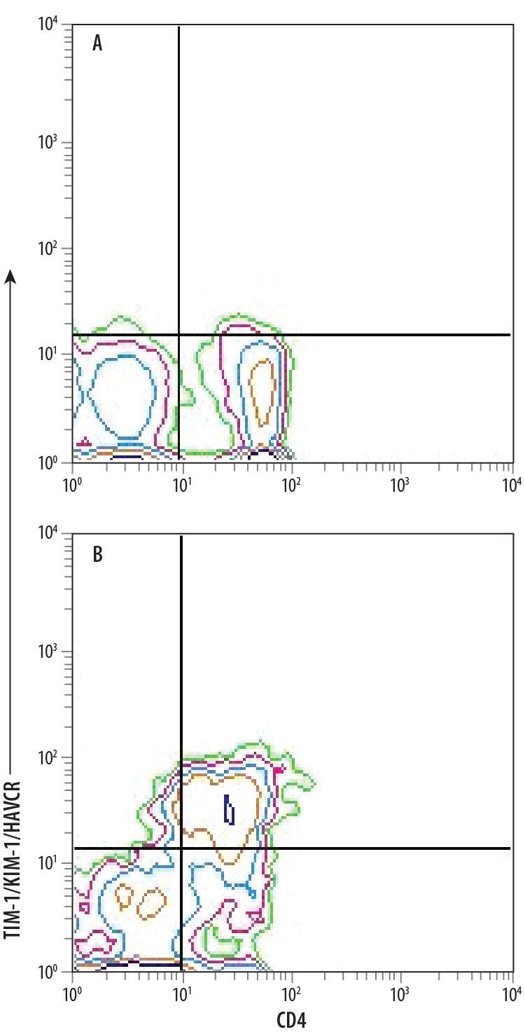 (A) Unstimulated and (B) Th2-stimulated human peripheral blood mononuclear cells (PBMCs) were stained with Mouse Anti-Human TIM-1/KIM-1/HAVCR PE-conjugated Monoclonal Antibody (Catalog # FAB1750P) and Mouse Anti-Human CD4 APC-conjugated Monoclonal Antibody (Catalog # FAB3791A). Quadrant markers were set based on control antibody staining (Catalog # IC0041P). View our protocol for Staining Membrane-associated Proteins.