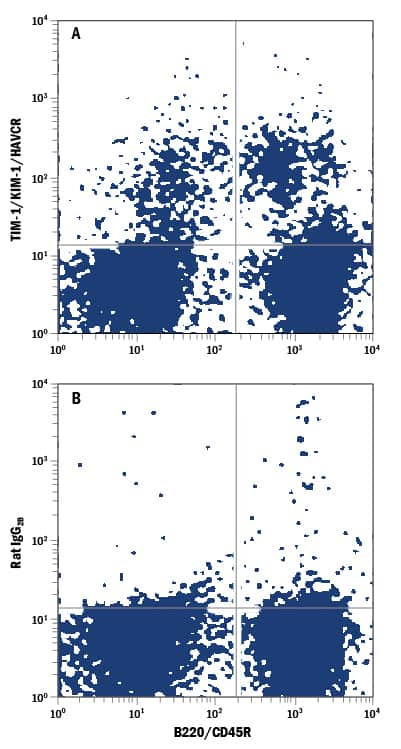 Mouse splenocytes treated with 200 ng/mL LPS for 16 hours were stained with Rat Anti-Mouse B220/CD45R PE-conjugated Monoclonal Antibody (FAB1217P) and either (A) Rat Anti-Mouse TIM-1/KIM-1/HAVCR APC-conjugated Monoclonal Antibody (Catalog # FAB1817A) or (B) Rat IgG2BAllophycocyanin Isotype Control (IC013A). View our protocol for Staining Membrane-associated Proteins.