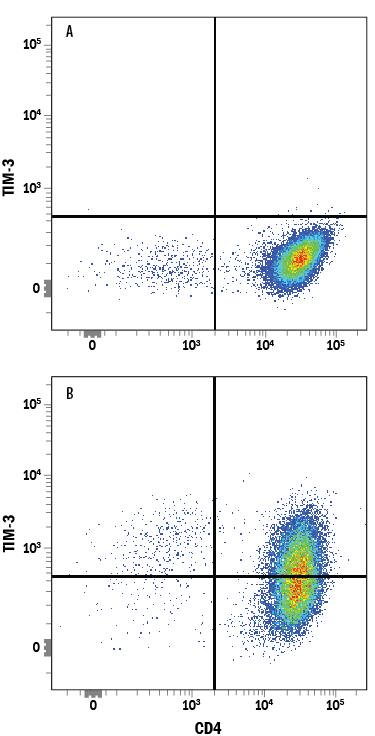 Unstimulated (A) and Th1-stimulated (B) human peripheral blood mononuclear cells (PBMCs) were stained with Rat Anti-Human TIM-3 Alexa Fluor® 594-conjugated Monoclonal Antibody (Catalog # FAB2365T) and Mouse Anti-Human CD4 APC-conjugated Monoclonal Antibody (FAB3791A). Quadrant markers were set based on control antibody staining (IC006T). View our protocol for Staining Membrane-associated Proteins.