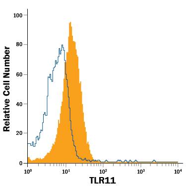 RAW 264.7 mouse monocyte/macrophage cell line was stained with Rat Anti-Mouse TLR11 APC-conjugated Monoclonal Antibody (Catalog # IC7640A, filled histogram) or isotype control antibody (Catalog # IC013A, open histogram). To facilitate intracellular staining, cells were fixed with Flow Cytometry Fixation Buffer (Catalog # FC004) and permeabilized with Flow Cytometry Permeabilization/Wash Buffer I (Catalog # FC005). View our protocol for Staining Intracellular Molecules.