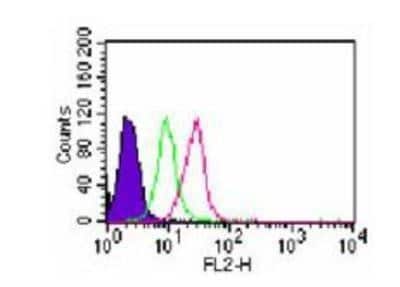 Flow Cytometry: TLR7 Antibody [NB100-56588] - Intracellular flow analysis of TLR7 in 10^6 ThP1 cells using 2 ug of NB100-56588.  Shaded histogram represents cells without antibody. Green: isotype control. Red:  TLR7 antibody. Intracellular flow kit was used for this test, and an anti-rabbit IgG PE conjugated secondary.