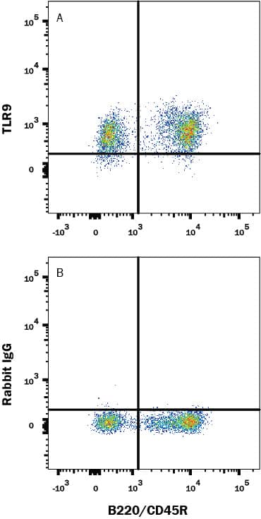 Mouse splenocytes were stained with (A) Rabbit Anti-Mouse TLR9 Alexa Fluor® 647-conjugated Monoclonal Antibody (Catalog # FAB7960R) or (B) Normal Rabbit IgG Control (Catalog # IC1051R) and Rat Anti-Mouse B220/CD45R PE-conjugated Monoclonal Antibody (Catalog # FAB1217P). To facilitate intracellular staining, cells were fixed and permeabilized with FlowX FoxP3 Fixation & Permeabilization Buffer Kit (Catalog # FC012). View our protocol for Staining Intracellular Molecules.