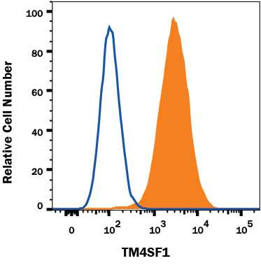 A549 human lung carcinoma cell line was stained with Mouse Anti-Human TM4SF1/L6 Alexa Fluor® 488-conjugated Monoclonal Antibody (Catalog # FAB8164G, filled histogram) or isotype control antibody (Catalog # IC002G, open histogram). View our protocol for Staining Membrane-associated Proteins.