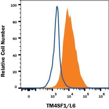 A549 human lung carcinoma cell line was stained with Mouse Anti-Human TM4SF1/L6 PE-conjugated Monoclonal Antibody (Catalog # FAB8164P, filled histogram) or isotype control antibody (Catalog # IC002P, open histogram). View our protocol for Staining Membrane-associated Proteins.