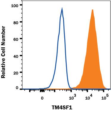 A549 human lung carcinoma cell line was stained with Mouse Anti-Human TM4SF1/L6 Alexa Fluor® 647-conjugated Monoclonal Antibody (Catalog # FAB8164R, filled histogram) or isotype control antibody (Catalog # IC002R, open histogram). View our protocol for Staining Membrane-associated Proteins.