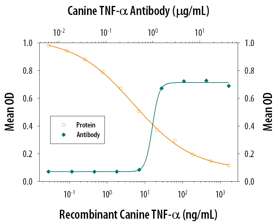 Recombinant Canine TNF‑ alpha  (Catalog # 1507‑CT) induces cytotoxicity in the the L‑929 mouse fibroblast cell line in a dose-dependent manner (orange line), as measured by crystal violet staining. Cytotoxicity elicited by Recombinant Canine TNF‑ alpha  (100 ng/mL) is neutralized (green line) by increasing concentrations of Goat Anti-Canine TNF‑ alpha  Antigen Affinity-purified Polyclonal Antibody (Catalog # AF1507). The ND50 is typically 0.4-1.6 µg/mL in the presence of the metabolic inhibitor actinomycin D (1 µg/mL).