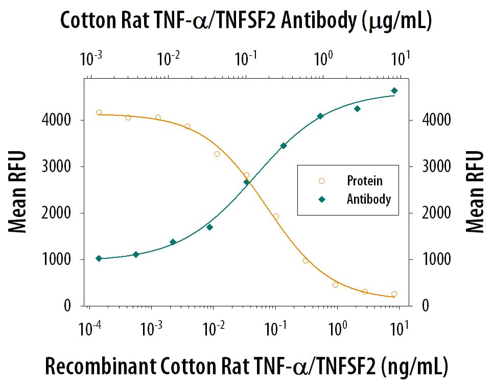Recombinant Cotton Rat TNF‑ alpha  (Catalog # 1011-CR) induces cytotoxicity in the the L‑929 mouse fibroblast cell line in a dose-dependent manner (orange line), as measured by Resazurin (Catalog # AR002) . Cytotoxicity elicited by Recombinant Cotton Rat TNF‑ alpha  (0.5 ng/mL) is neutralized (green line) by increasing concentrations of Mouse Anti-Cotton Rat TNF‑ alpha  Monoclonal Antibody (Catalog # MAB1011). The ND50 is typically 0.05- 0.3 µg/mL in the presence of the metabolic inhibitor actinomycin D (1 µg/mL).