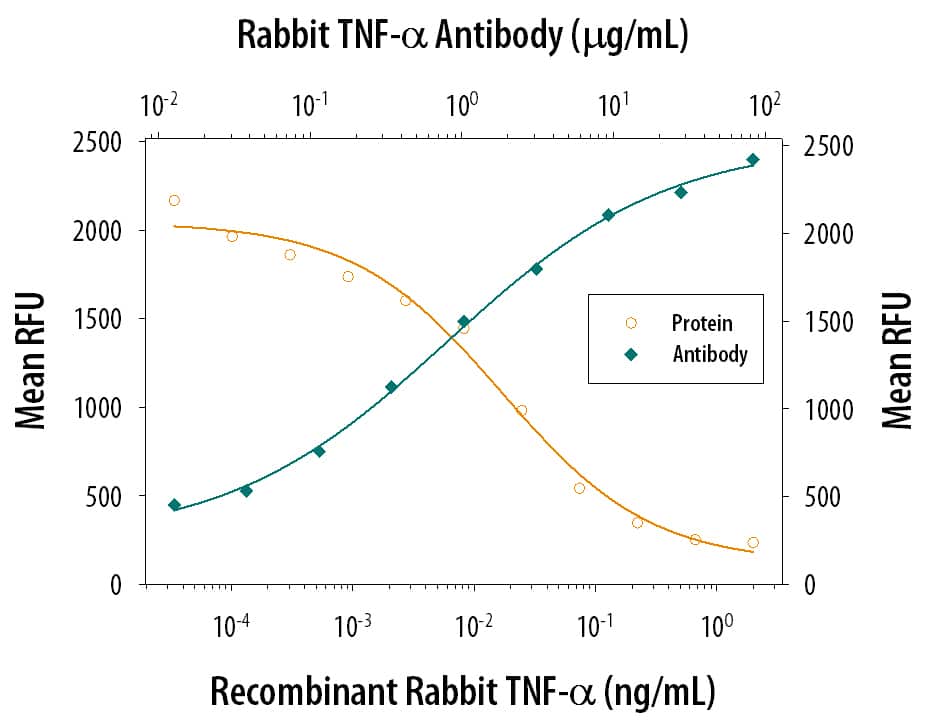 Recombinant Rabbit TNF‑ alpha  (Catalog # 5670-TG) induces cytotoxicity in the the L‑929 mouse fibroblast cell line in a dose-dependent manner (orange line), as measured by Resazurin. Cytotoxicity elicited by Recombinant Rabbit TNF‑ alpha  (0.25 ng/mL) is neutralized (green line) by increasing concentrations of Mouse Anti-Rabbit TNF‑ alpha  Monoclonal Antibody (Catalog # MAB5670). The ND50 is typically 0.4‑2.4 µg/mL in the presence of the metabolic inhibitor actinomycin D (1 µg/mL).