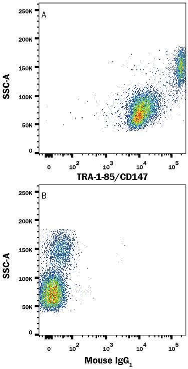 Human peripheral blood lymphocytes and monocytes were stained with either (A) Mouse Anti-Human TRA-1-85/CD147 PE-conjugated Monoclonal Antibody (Catalog # FAB3195P) or (B) Mouse IgG1Phycoerythrin Isotype Control (Catalog # IC002P). View our protocol for Staining Membrane-associated Proteins.