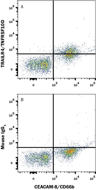 Human peripheral blood cells were stained with (A) Mouse Anti-Human TRAILR4 Monoclonal Antibody (Catalog # MAB663R) or (B) Mouse IgG1 isotype control antibody(Catalog # MAB002) followed by PE-conjugated Anti-Mouse IgG Secondary Antibody (Catalog # F0102B) and Mouse anti-Human CEACAM-8/CD66b APC-conjugated Monoclonal Antibody (Catalog # FAB4246A). View our protocol for Staining Membrane-associated Proteins. 