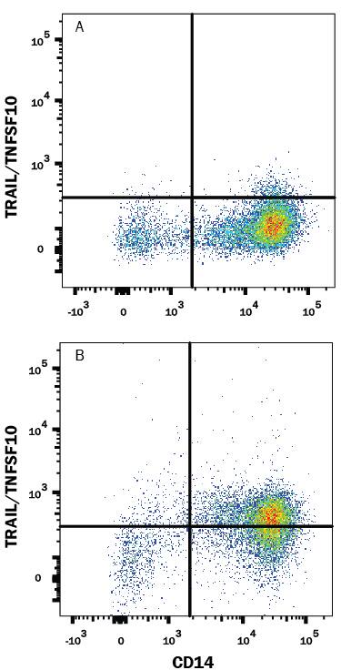 Human peripheral blood mononuclear cells (PBMCs) either (A) untreated or (B) treated with 150 ng/mL IFN-a for 48 hours were stained with Mouse Anti-Human TRAIL/TNFSF10 APC-conjugated Monoclonal Antibody (Catalog # FAB687A) and Mouse Anti-Human CD14 PE-conjugated Monoclonal Antibody (Catalog # FAB3832P). Quadrant markers were set based on control antibody staining (Catalog # IC002A). View our protocol for Staining Membrane-associated Proteins.
