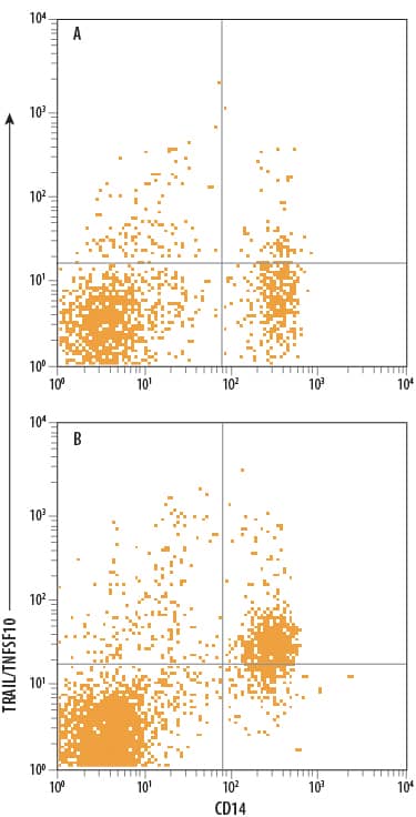Human peripheral blood mononuclear cells (PBMCs) either (A) untreated or (B) treated with 150 ng/mL IFN-a for 48 hours were stained with Mouse Anti-Human TRAIL/TNFSF10 Alexa Fluor® 700-conjugated Monoclonal Antibody (Catalog # FAB687N) and Mouse Anti-Human CD14 Fluorescein-conjugated Monoclonal Antibody (Catalog # FAB3832F). Quadrant markers were set based on control antibody staining (Catalog # IC002N). View our protocol for Staining Membrane-associated Proteins.